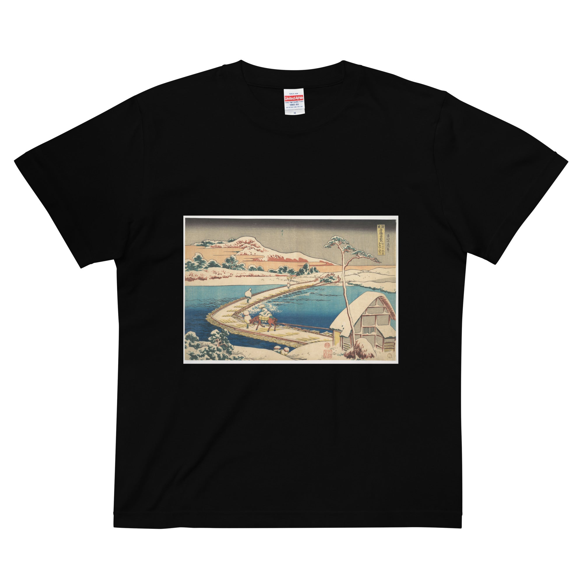 Hokusai-T 